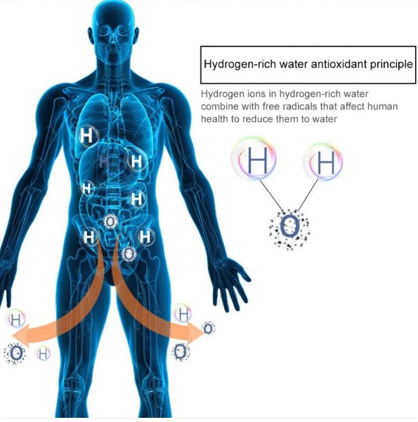 HydroBoost Health Water Cup